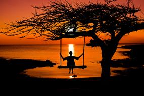 silhouette of a man on a swing at dusk