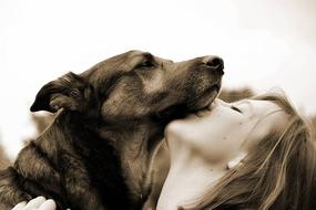 dog hugging with woman