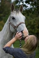 Young Woman kissing grey horse on nose