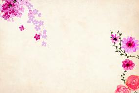 vintage background, floral border