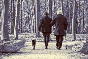 Elderly Couple with a dog in the park