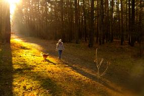 girl with a dog walking in the autumn forest