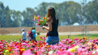 people on a flower field in a blurred background