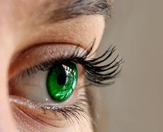 closeup photo of female green eye