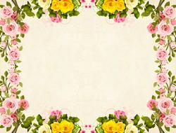 floral vintage border drawing