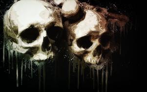 image of two skulls on a black background