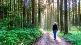 girl in a white hat walks through the woods