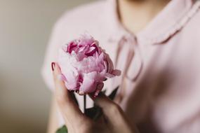 Lady with pink flower close-up on blurred background