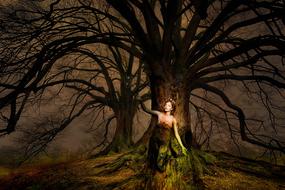 wallpaper with mysterious tree