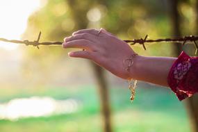 female hand touching barbed wire