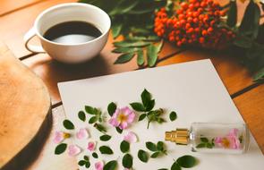 a cup of coffee, flower petals and a bunch of rowan berries on the table