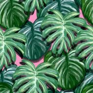 Beautiful, green leaves of different shades, at pink background