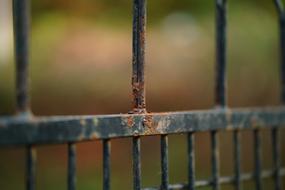 black rusty grill in the park