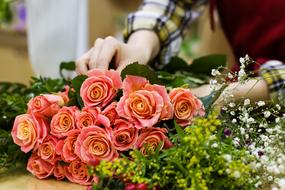 Florist makes a bouquet of pink roses