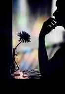 Silhouette of the woman, near the beautiful flower, at colorful background, behind the window