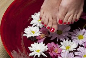 red pedicure in the salon