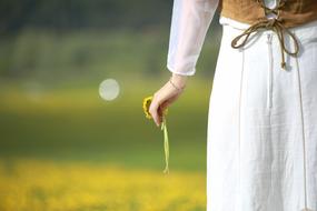 magnificent Summer Feeling Love