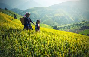 Asian woman with basket on back and child girl walking on mountain side at scenic summer landscape
