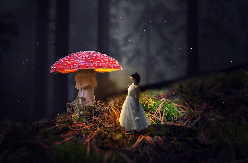mystical image of a girl in a white dress and amanita in the forest