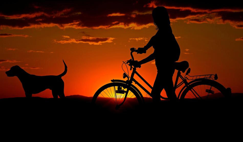 Girl on Bike and dog at sunset