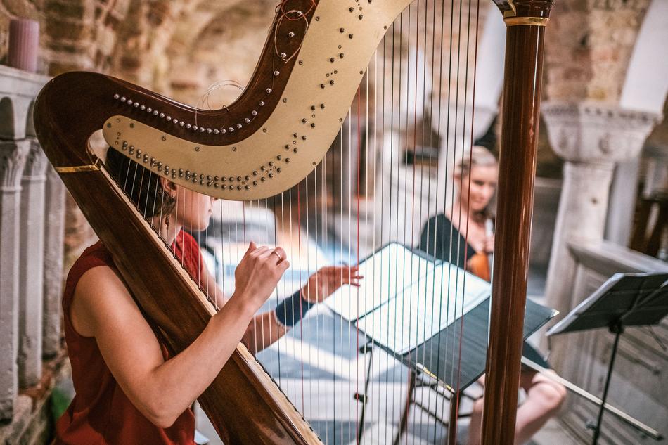 girl is playing the harp in the hall