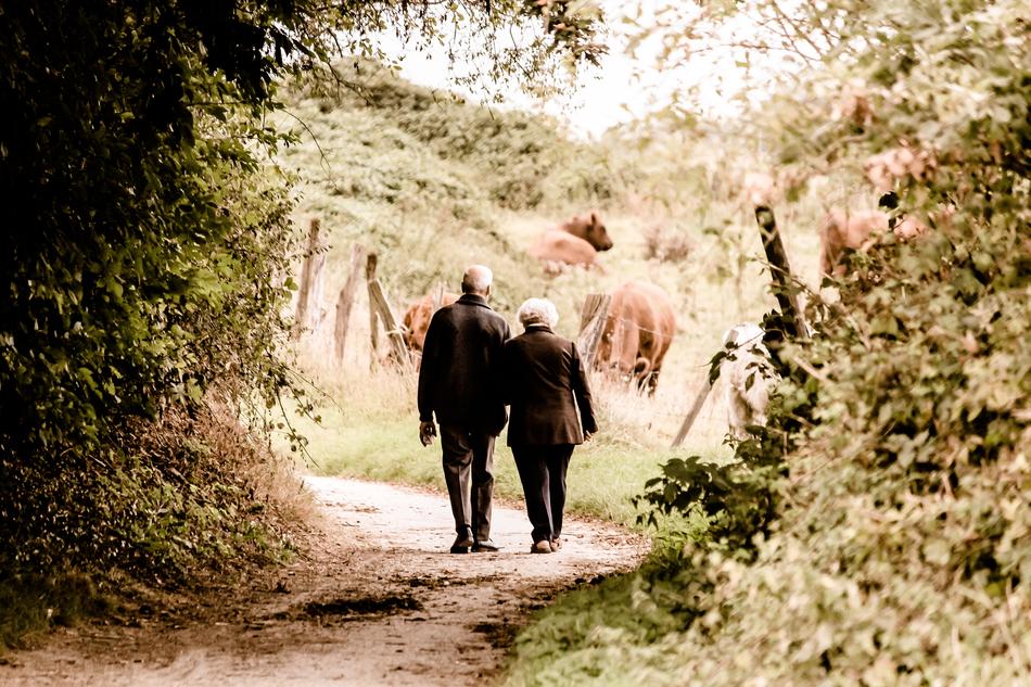 Pair of seniors on the landscape