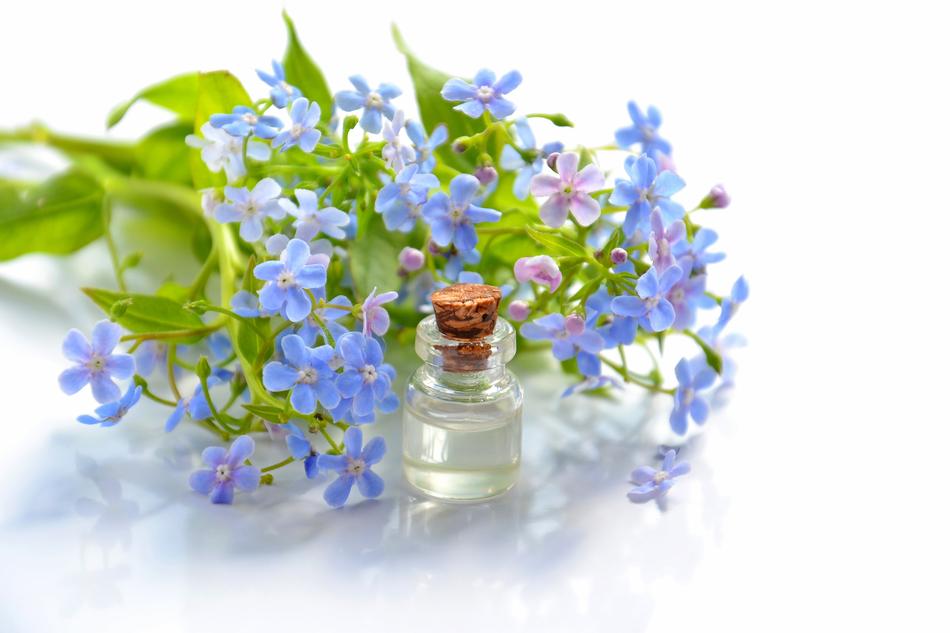 Bottle of essential oil, near the beautiful, violet and blue flowers with green leaves, at white background