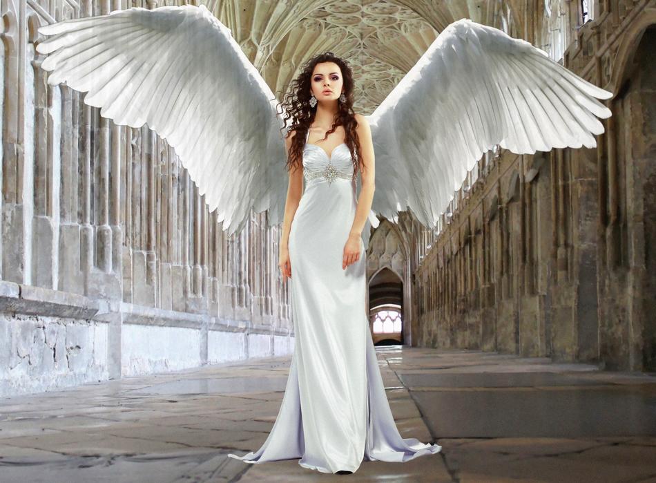photo of a girl in a white dress with white wings