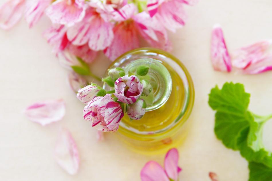 Oil Geranium