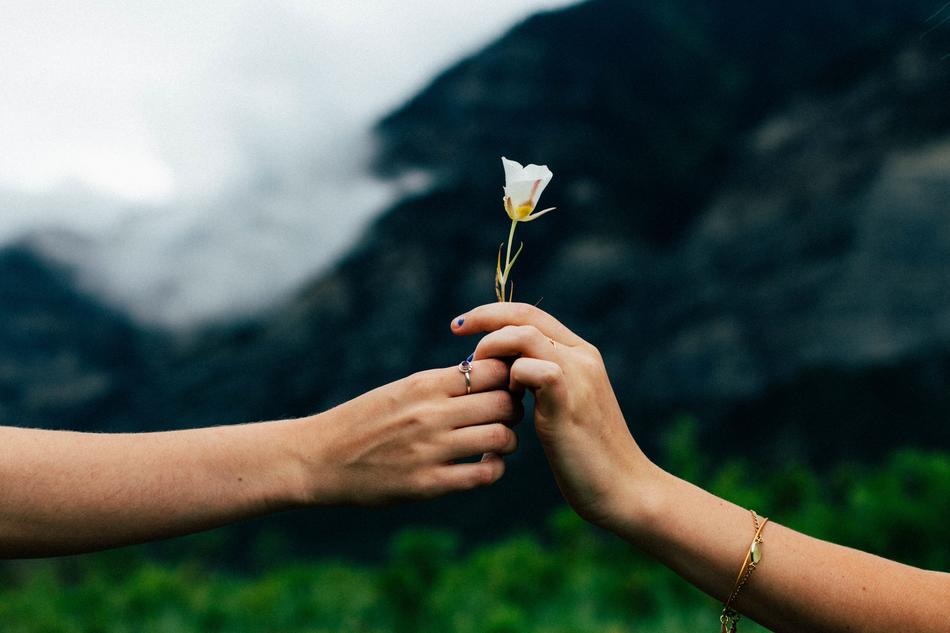 white mountain flower in the hands of lovers