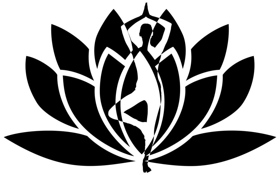 yogi and lotus