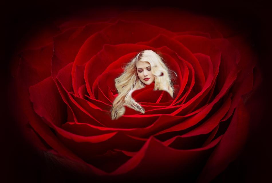 Woman red rose