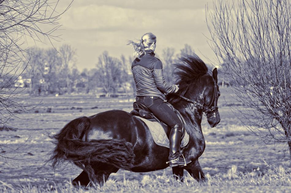 rider in nature in monochrome