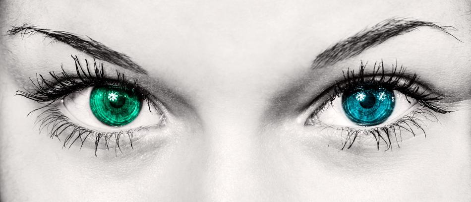 Drawing of the eyes of the different colors