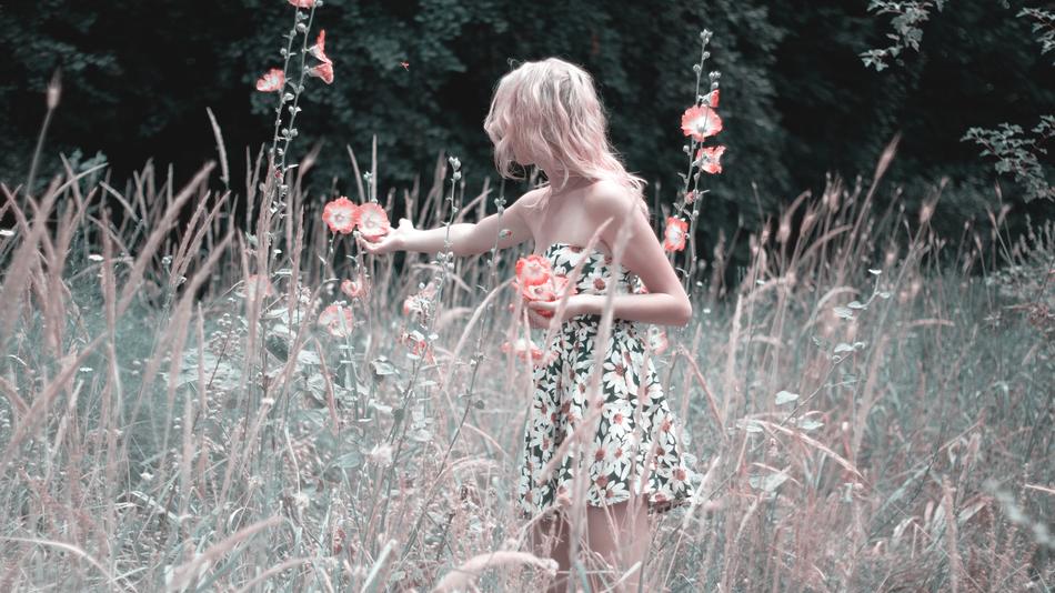 Girl is collecting flowers on the field, monochrome