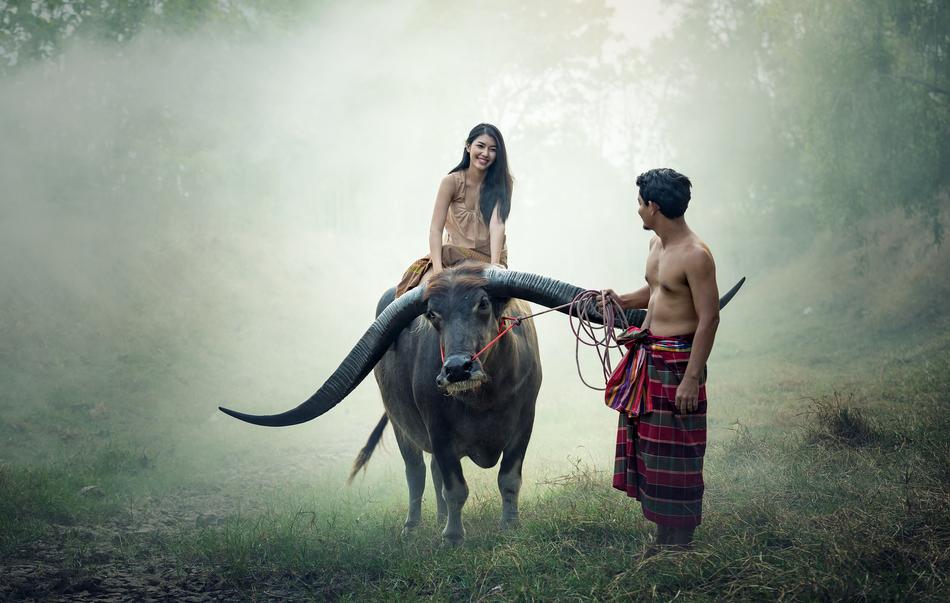 a girl on a buffalo and a guy in the countryside in Cambodia
