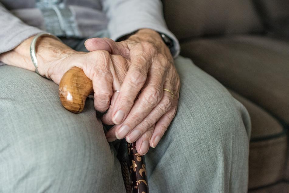 photo of old woman's hands