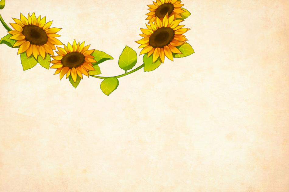 yellow sunflowers on a pink background
