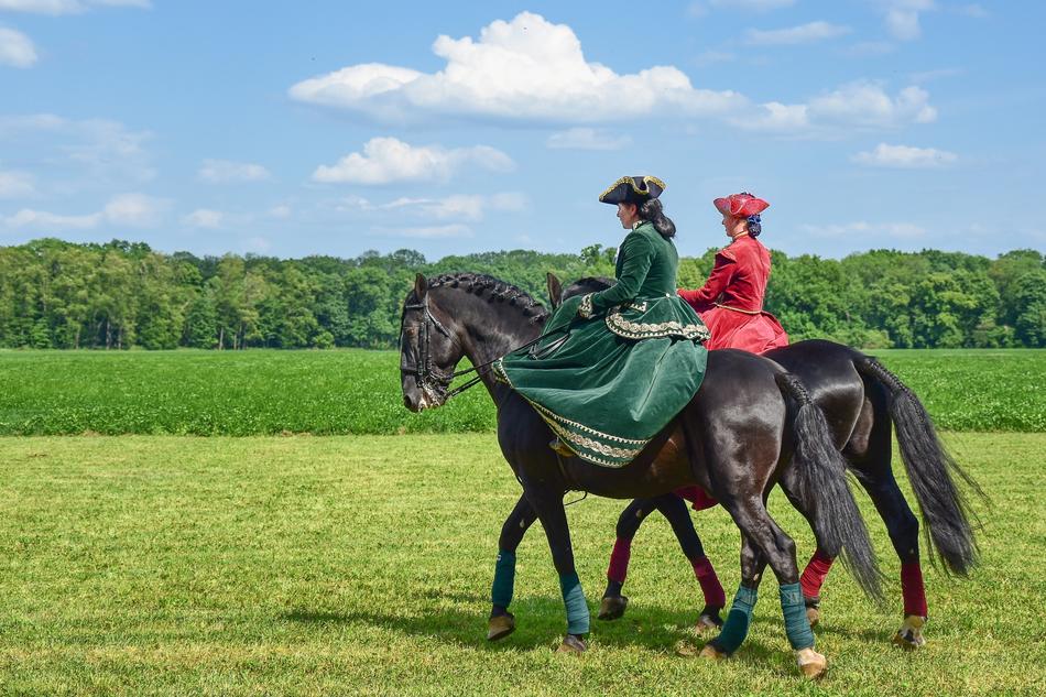Horse Lady