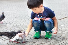 small asian girl feeding pigeons on pavement