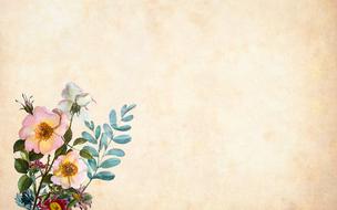 vintage background with wild rose flowers