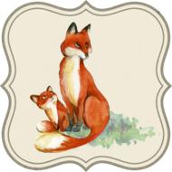 drawn fox with baby