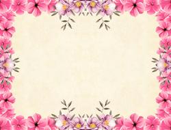 frame of pink flowers