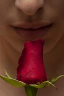 picture of a woman smelling red rose