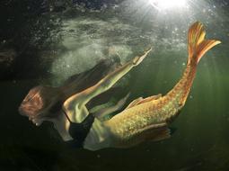 clipart of fantastic mermaid is underwater