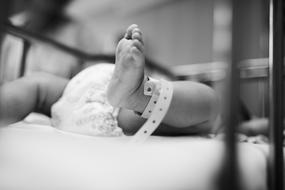 monochrome photo of baby feet