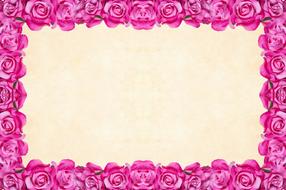 clipart of pink flower background