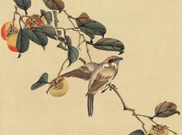 vintage japanese watercolour bird drawing