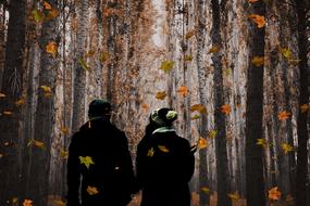 couple walk in autumn park