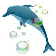 dolphin and soap bubbles, drawing